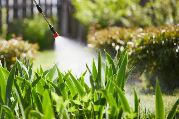 24/7 Emergency Mosquito Control experts in Greenville, GA