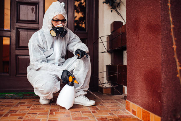 Reliable Mosquito Control contractor in Greenville, GA by Show Me Pest Control